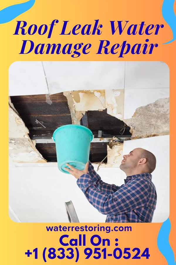 Roof Leak Water Damage Repair in Darnestown, MD